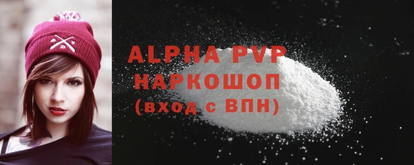 хмурый Абаза