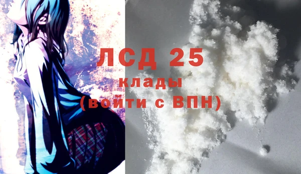 хмурый Абаза