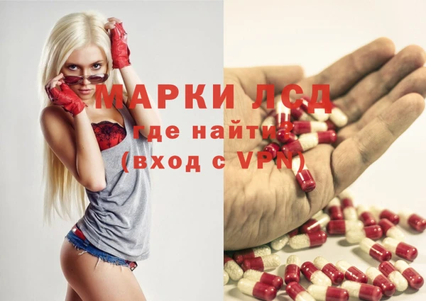 хмурый Абаза