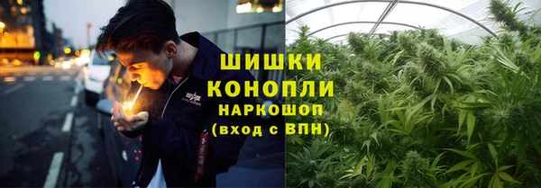 хмурый Абаза