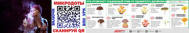 Псилоцибиновые грибы мухоморы  где купить наркотик  hydra зеркало  Александровск 